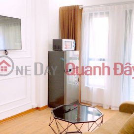 Cau Giay mini apartment, 12 rooms 3000 USD\/month. Split house, 7-seat garage, open front and back _0