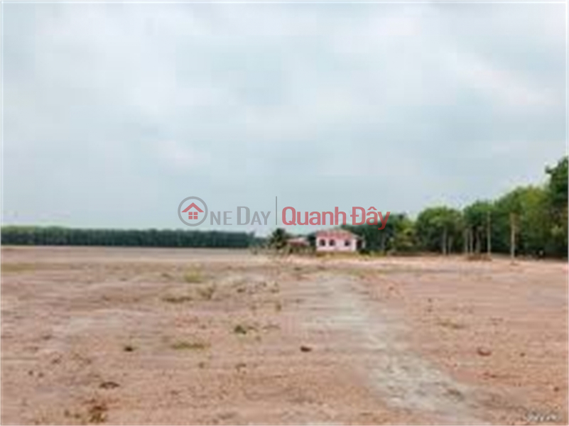 Selling 35ha of 50-year industrial land in Nam Sach Industrial Park, Hai Duong Province Vietnam Sales | đ 970 Million