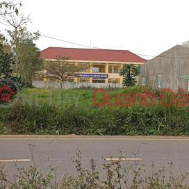 Beautiful Land - Good Price - Owner Needs to Sell Land Lot in Nice Location at Provincial Road 725, Tan Thanh, Lam Ha, Lam Dong _0