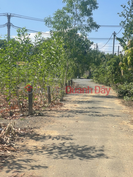 đ 1.15 Billion, (For sale by owner) 8m asphalt road, An Vien commune, Trang Bom district, Dong Nai province (land adjacent to district 9, city