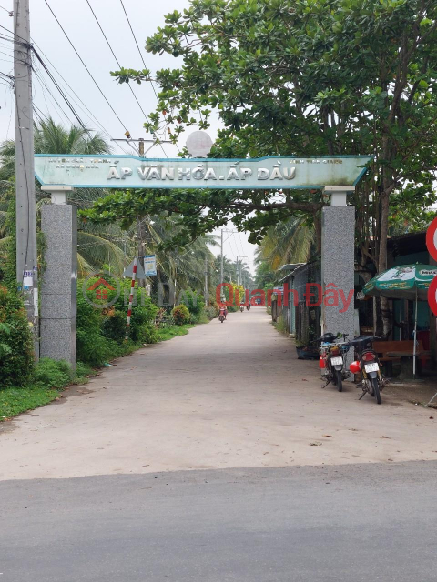 Owner Needs to Sell Coconut Garden Land - Good Price in Dau Hamlet - Dong Hoa - Chau Thanh - Tien Giang _0