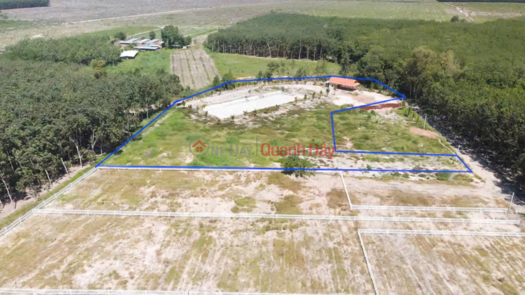 Resort land with stream view right in Chan Thanh town, area more than 7000m2, stream view longer than 100m Sales Listings