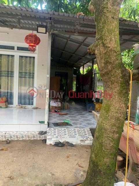NHÀ ĐẸP – GIÁ TỐT- CHÍNH CHỦ BÁN NHÀ Tại ấp Mỹ Thạnh, xã Mỹ Xương(cũ),Cao Lãnh, Đồng Tháp _0