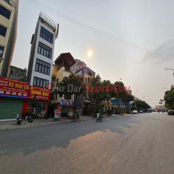 Land for sale on rough business street 299.9m2 Trau Quy, Gia Lam, Hanoi. Sales Listings