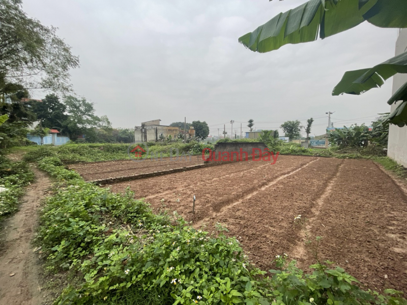 Property Search Vietnam | OneDay | Residential Sales Listings, SUPER BEAUTIFUL LAND LOT FOR SALE 75M2 FULL RESIDENTIAL IN THUY HUONG-CHUONG MY