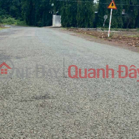 đất nền đầu tư tư lợi nhuận. gần chợ gần trường tiện ích đầy đủ _0