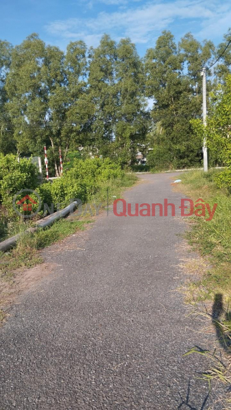 OWNER FOR SALE 2 Adjacent Land Lots Beautiful Location In Long Duc, Tra Vinh City Sales Listings