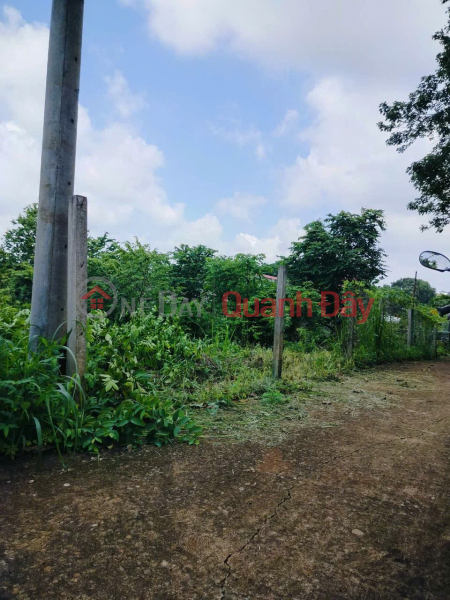 OWNER SELLS BEAUTIFUL LAND PLOT right in the commercial center of NGAI GIAO - CHAU DUC - BA RIA VUNG TAU Vietnam | Sales | đ 3.4 Billion