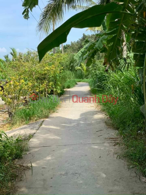 Selling full residential land DONG THUAN ward _0