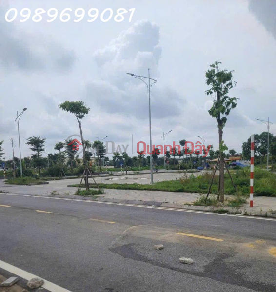 Property Search Vietnam | OneDay | Residential, Sales Listings, Auction land for sale in Thuy Lam commune, Dong Anh district, flower garden view