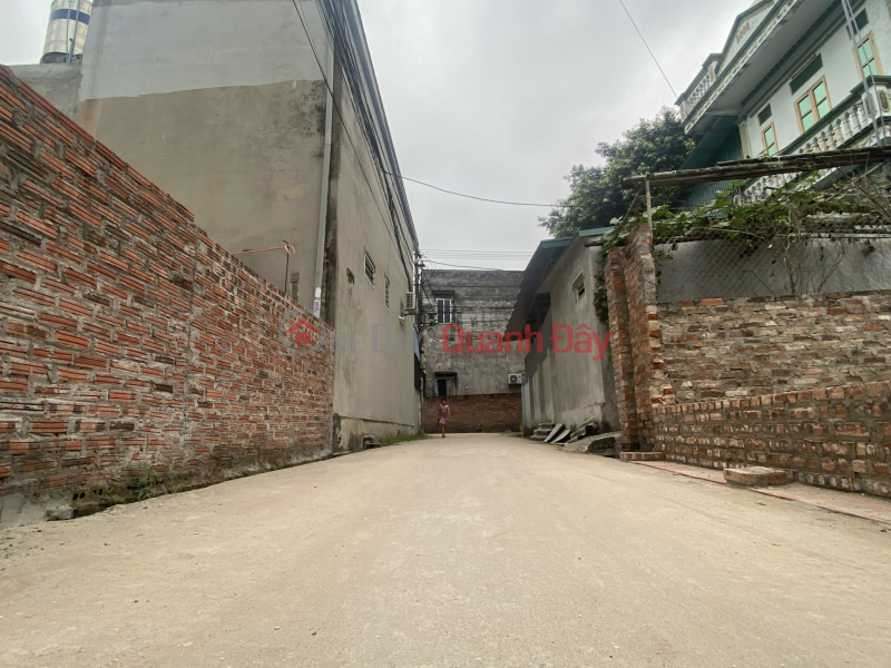 Property Search Vietnam | OneDay | Residential Sales Listings Xuan Non land for sale - Luong Quy village - 90m - 4m open road