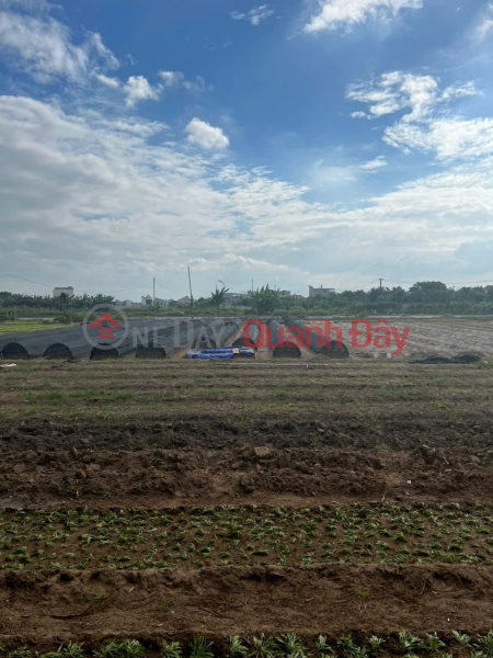 Villa land lot for sale 225 m, width 9, resettlement in Nam Hai Hai An military zone | Vietnam, Sales ₫ 5.5 Billion