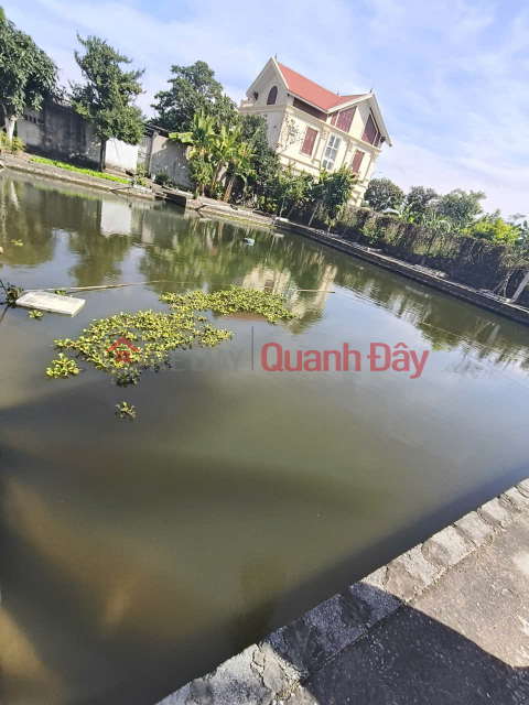 Bán Biệt Thự 3 Tầng 2000 M sân Vườn Đồ Sơn Hải Phòng _0