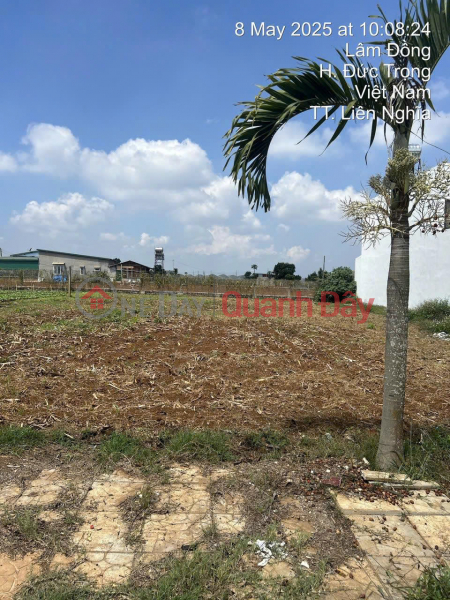 Bán 157m2 đất gần hồ nam sơn Liên Nghĩa Đức Trọng Lâm Đồng 1 tỷ 900 triệu | Việt Nam Bán đ 1,9 tỷ