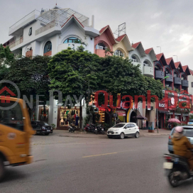 Selling Villa on the corner of Nguyen Van Loc street - Top business - best vip in town _0