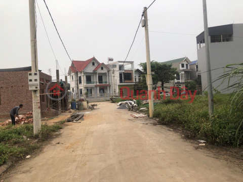 AUCTION OF DONG SON COMMUNE - sidewalk subdivision at investment price - area 88.5 square meters - 2 lanes on interprovincial road _0