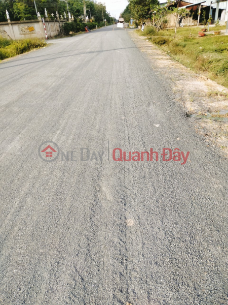 Property Search Vietnam | OneDay | Residential, Sales Listings, Beautiful Land for Sale - Special Location in Chau Thanh, Tay Ninh