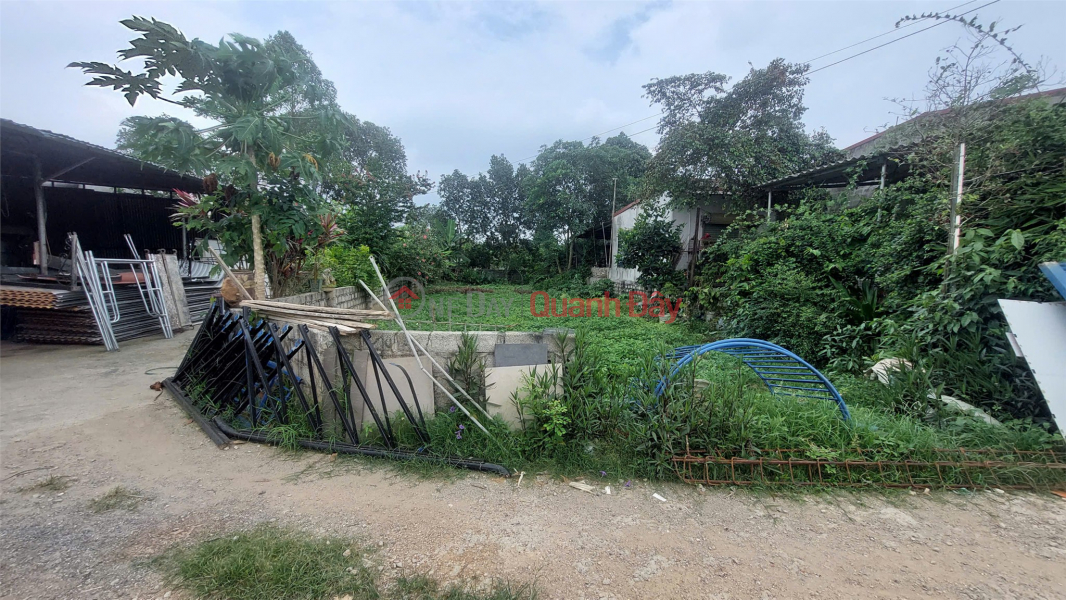 SUPER BEAUTIFUL LAND - GOOD PRICE - URGENT SALE Potential F0 Land Lot In Dong Vo, Go Cao, Vietnam, Sales, đ 13 Million