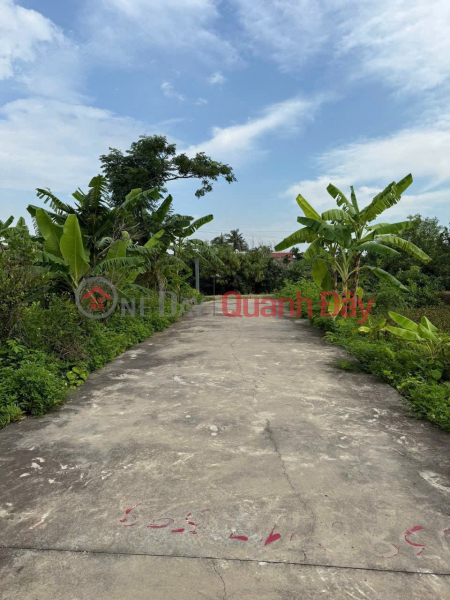 đ 920 triệu LÔ 61.6M² – NGÕ 4M Ô TÔ TẢI QUAY ĐẦU – GIÁ HIẾM 9XX TRIỆU ZALO 0567 222 555