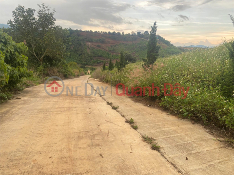 GOOD LAND - BEAUTIFUL VIEW - CHEAP PRICE - Own Resort Land Immediately In The Suburbs Of Da Lat _0