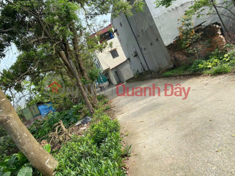 LAND FOR SALE 89M2 ON THE BACKGROUND OF LUONG QUY XUAN NON DONG ANH - CAR-ABDUCTIVE ROAD _0