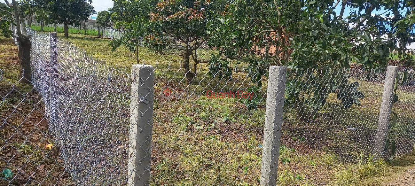 Bán 394m2 đất xã tân hội, đức trọng lâm đồng Việt Nam | Bán đ 1,25 tỷ