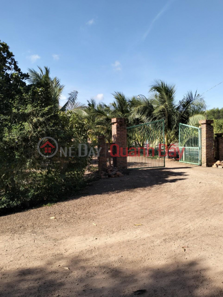 đ 6 Billion | BEAUTIFUL LAND - GOOD PRICE - OWNER NEEDS TO SELL LAND LOT IN Thang Hai, Ham Tan, Binh Thuan