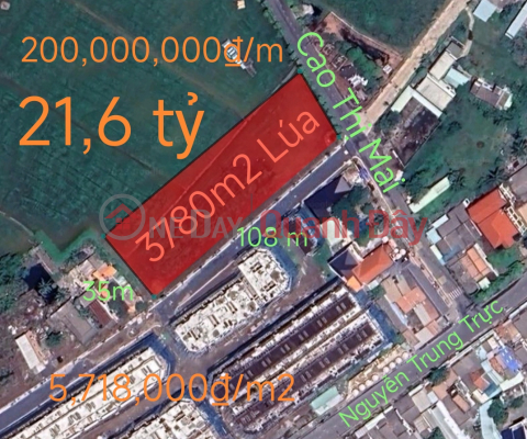 Selling a plot of rice land converted to a two-front lot priced at 21.6 billion _0