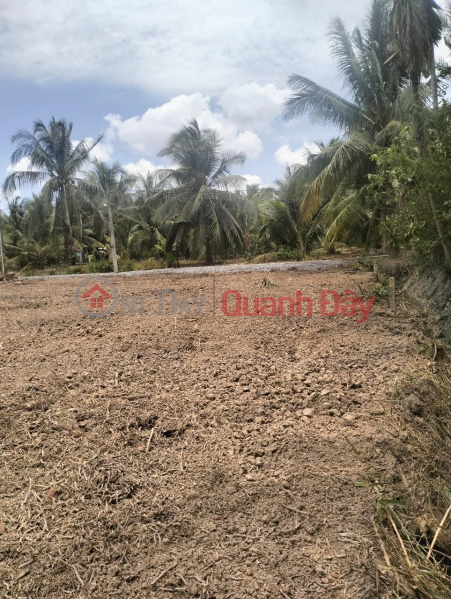 Owner Urgently Sells 11 Lots of Land in Phu Quy Hamlet, Vinh Huu Commune, Go Cong Tay, Tien Giang Vietnam Sales | đ 350 Million