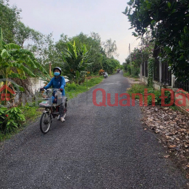 CHÍNH CHỦ BÁN 3.400m² ĐẤT TRỒNG SẦU RIÊNG RI6 – VƯỜN ĐANG THU HOẠCH - xã Bình Phú, Đồng Tháp _0