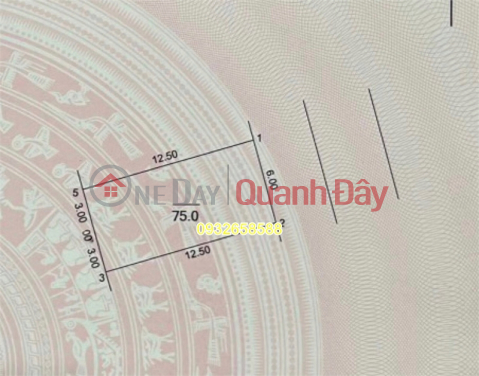 Next to project 319, construction rate reached 100%, land auctioned Hau Oai - Uy No, the most potential center of Uy No Commune, with _0