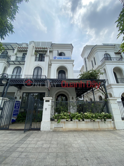 The owner needs to sell the LIMITED duplex villa with salt water view Vinhomes Ocean Park Gia Lam _0