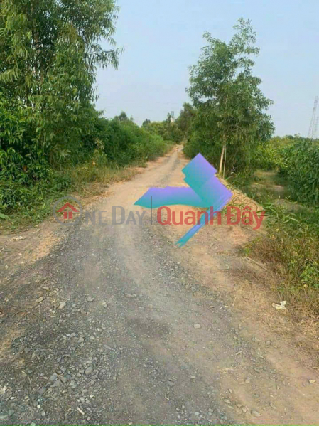 đ 939 Million PROFITABLE INVESTMENT OPPORTUNITY - A Superb 1,000m² Garden House Plot in Binh Duc Commune, Ben Luc District, Long An Province.