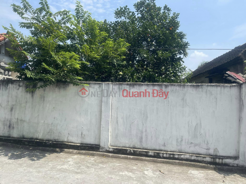 Property Search Vietnam | OneDay | Nhà ở, Niêm yết bán | ĐẤT ĐẸP - GIÁ TỐT - CẦN BÁN NHANH LÔ ĐẤT ĐẸP Tại Quang Phục -Tiên Lãng - Hải Phòng