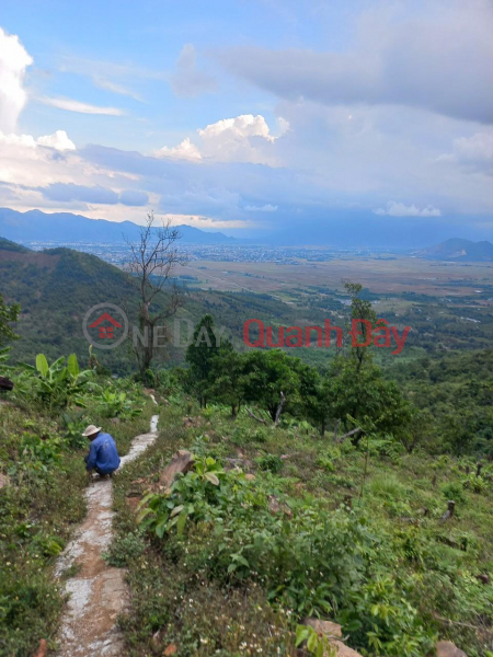 Property Search Vietnam | OneDay | Residential | Sales Listings, Beautiful Land - Good Price - Owner Needs to Sell 3 Lots of Land at Dong Giua Street, Dien Dien Commune, Dien Khanh, Khanh Hoa