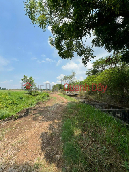 Owner needs to quickly sell beautiful land - good price in Thai My commune, Cu Chi, HCM Sales Listings