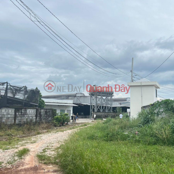 Quick sale of land by owner in Dau Tieng Binh Duong 300 m2 for only 290 million Sales Listings