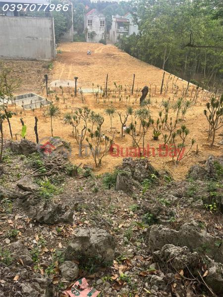 Property Search Vietnam | OneDay | Residential | Sales Listings | Owner selling a 1950m2 plot of land in the prime location of Cao Phong town center - opposite Cao Phong market.
