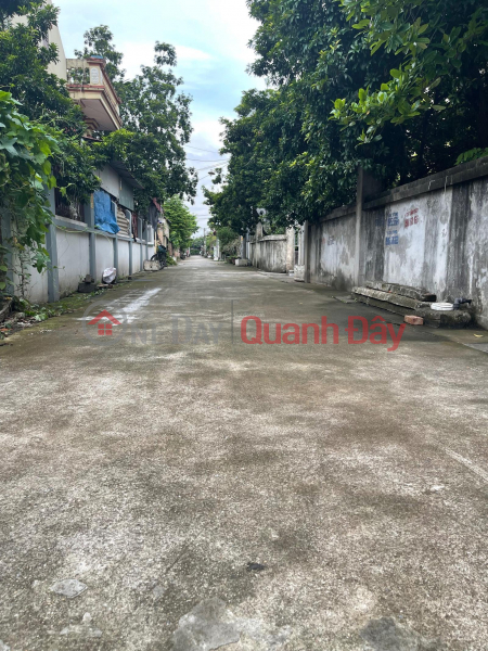 Selling 98.5m2 of land in Me So Van Giang near Ring Road 4, 5m frontage, car-friendly road, investment price., Vietnam | Sales | đ 2.6 Billion