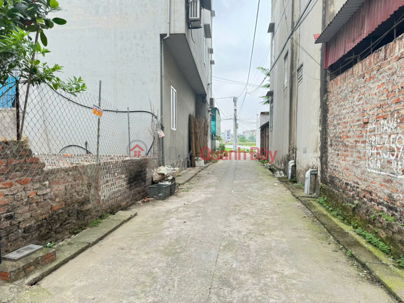 Property Search Vietnam | OneDay | Nhà ở, Niêm yết bán | Đất thôn Trung Hậu Đoài, Tiền Phong, Mê Linh. DT 73m, đường thông, oto đỗ