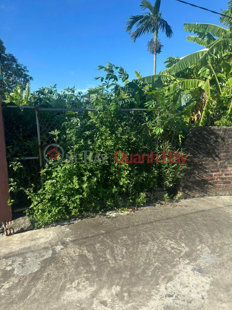 CHÍNH CHỦ CẦN BÁN GẤP LÔ ĐẤT Tại XÃ THÁI NGUYÊN, THÁI THUỴ, THÁI BÌNH _0