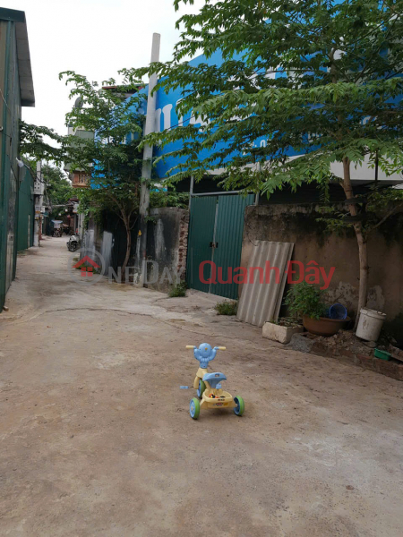 Property Search Vietnam | OneDay | Nhà ở Niêm yết cho thuê | CHÍNH CHỦ CẦN CHO THUÊ NHÀ 3 TẦNG TẠI KHU ĐỊNH CÔNG HẠ - HOÀNG MAI - HÀ NỘI.