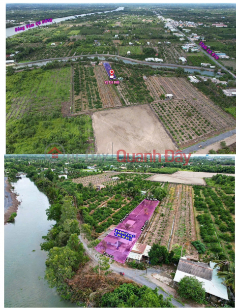 Chính Chủ BÁN NHÀ VƯỜN - VIEW SÔNG - Tại Xã Thạnh Hòa, Huyện Bến Lức, Tỉnh Long An _0