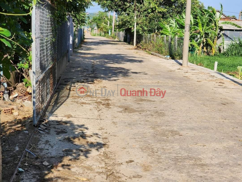 Property Search Vietnam | OneDay | Residential Sales Listings My Hiep Phu My - Land for sale in Dai Son village. Beautiful location adjacent to National Highway 1A and western provincial road DDT638