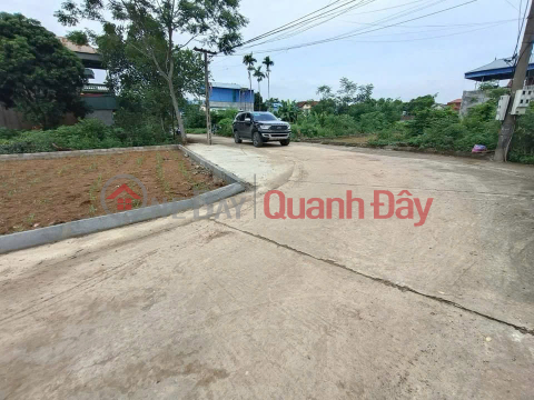 Mình chính chủ cần bán nhanh lô đất trục chính Đồi Sen sang Tân Xã _0