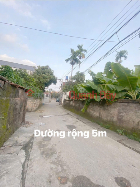 Beautiful land lot for sale 80m2 in Nam Vong Ngoai village, Vong Xuyen commune, Phuc Tho Sales Listings