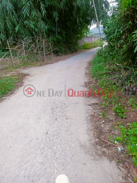 OWNER - FOR SALE Land In Cam Khe, Phu Tho Sales Listings