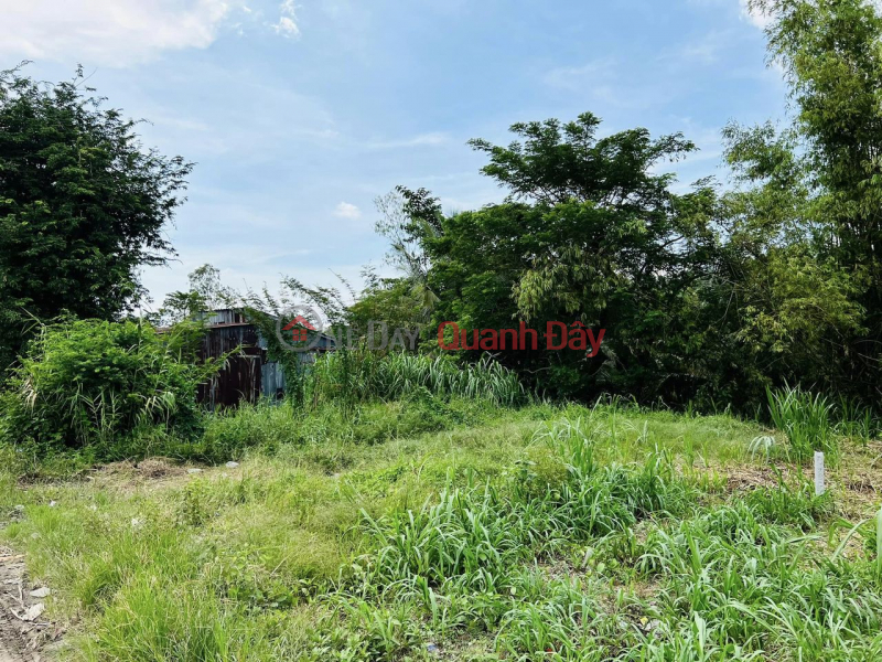 FOR SALE LAND FOR K16 STREET IN PHU THANH - PHU TAN Sales Listings
