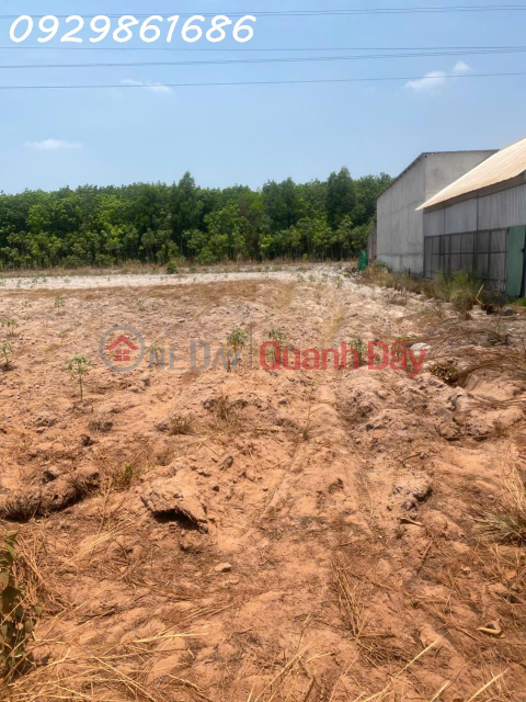 Selling at a loss: A prime plot of land with frontage on the Becamex Chơn Thành ring road. _0