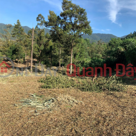 CHÍNH CHỦ CẦN BÁN ĐẤT MẶT TIỀN QUỐC LỘ 20 – Đối diện Trạm Dừng Chân Suối Bạc, Xã Đạ M'ri CHÍNH CHỦ CẦN BÁN ĐẤT MẶT TIỀN QUỐC LỘ 20 – Đối diện Trạm Dừng Chân Suối Bạc, Xã Đạ M'ri _0